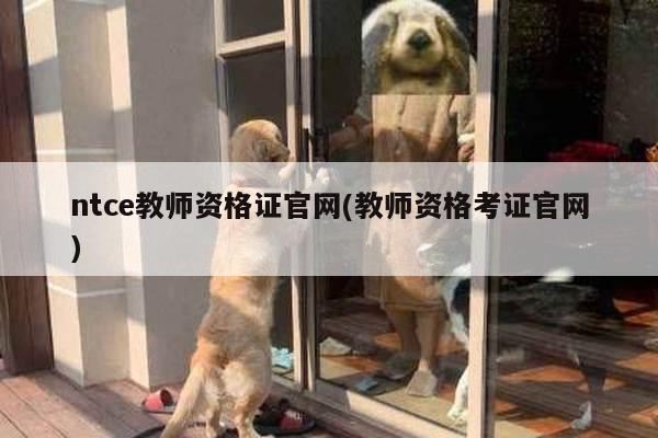ntce教师资格证官网(教师资格考证官网)