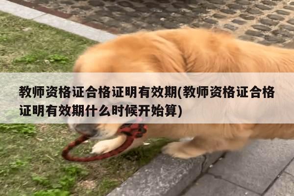 教师资格证合格证明有效期(教师资格证合格证明有效期什么时候开始算)
