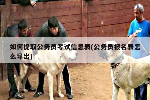 如何提取公务员考试信息表(公务员报名表怎么导出)