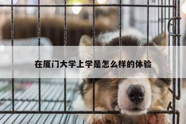 在厦门大学上学是怎么样的体验