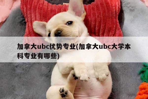 加拿大ubc优势专业(加拿大ubc大学本科专业有哪些)