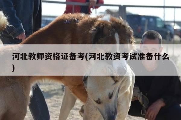 河北教师资格证备考(河北教资考试准备什么)