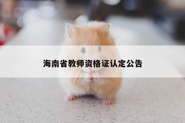海南省教师资格证认定公告
