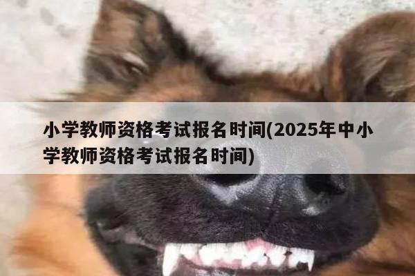 小学教师资格考试报名时间(2025年中小学教师资格考试报名时间)