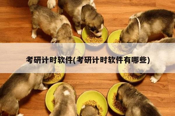 考研计时软件(考研计时软件有哪些)