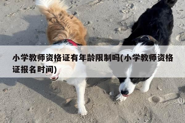 小学教师资格证有年龄限制吗(小学教师资格证报名时间)