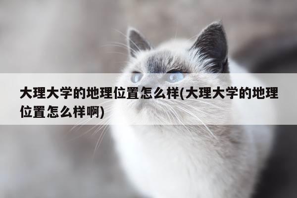 大理大学的地理位置怎么样(大理大学的地理位置怎么样啊)