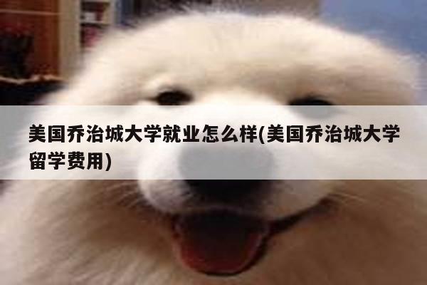 美国乔治城大学就业怎么样(美国乔治城大学留学费用)