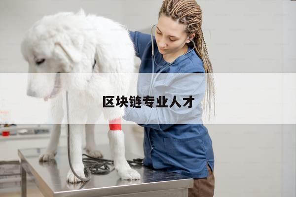 区块链专业人才