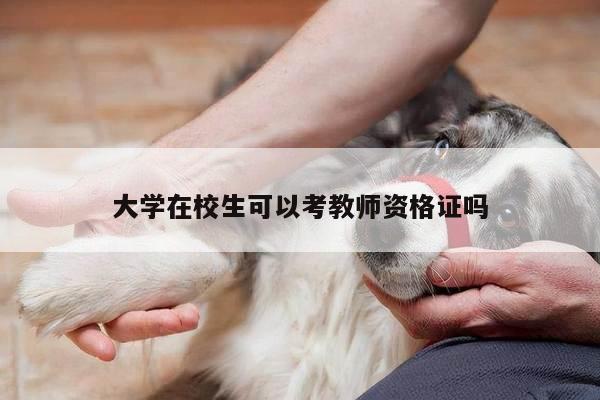 大学在校生可以考教师资格证吗