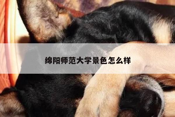 绵阳师范大学景色怎么样