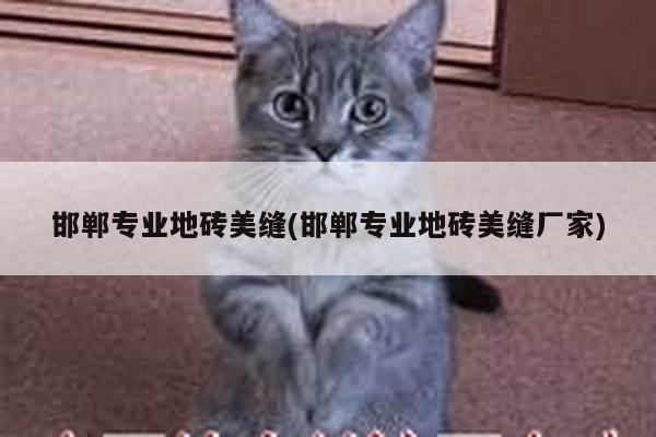 邯郸专业地砖美缝(邯郸专业地砖美缝厂家)