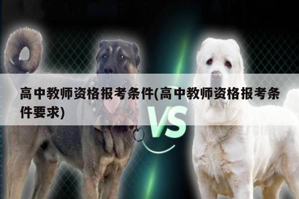 高中教师资格报考条件(高中教师资格报考条件要求)