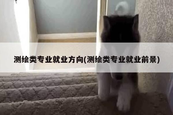测绘类专业就业方向(测绘类专业就业前景)