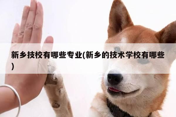 新乡技校有哪些专业(新乡的技术学校有哪些)