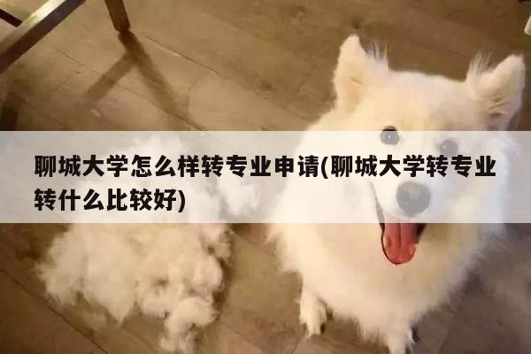 聊城大学怎么样转专业申请(聊城大学转专业转什么比较好)