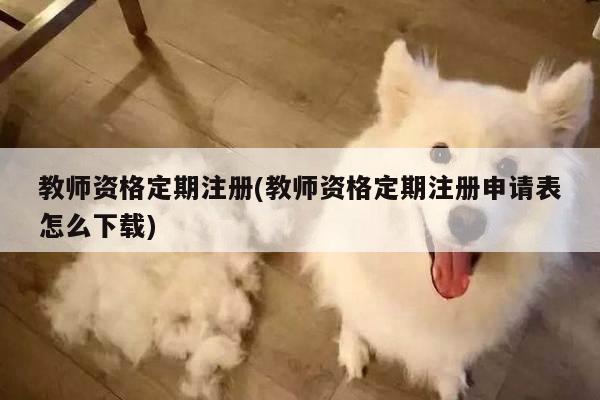 教师资格定期注册(教师资格定期注册申请表怎么下载)