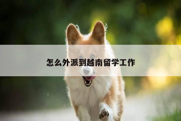 怎么外派到越南留学工作