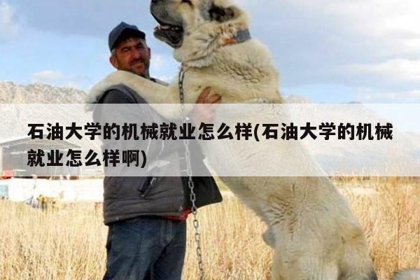 石油大学的机械就业怎么样(石油大学的机械就业怎么样啊)