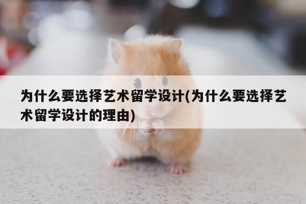 为什么要选择艺术留学设计(为什么要选择艺术留学设计的理由)