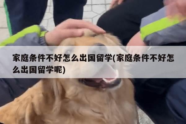 家庭条件不好怎么出国留学(家庭条件不好怎么出国留学呢)