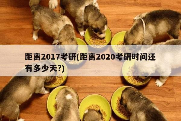 距离2017考研(距离2020考研时间还有多少天?)