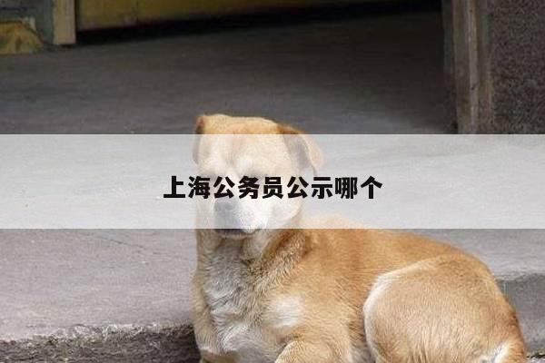 上海公务员公示哪个