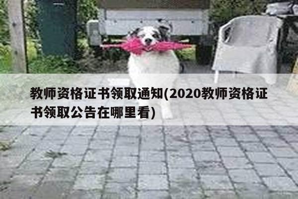 教师资格证书领取通知(2020教师资格证书领取公告在哪里看)