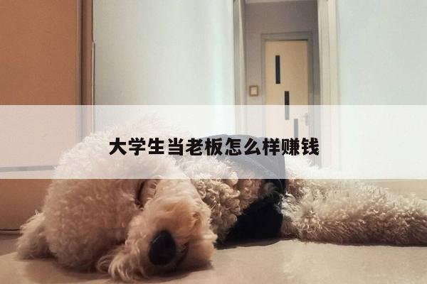 大学生当老板怎么样赚钱