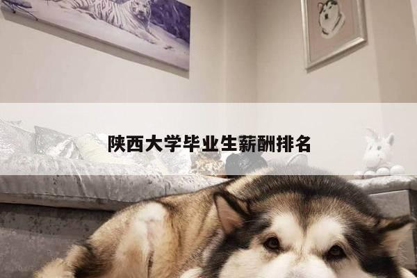 陕西大学毕业生薪酬排名