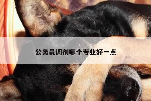 公务员调剂哪个专业好一点