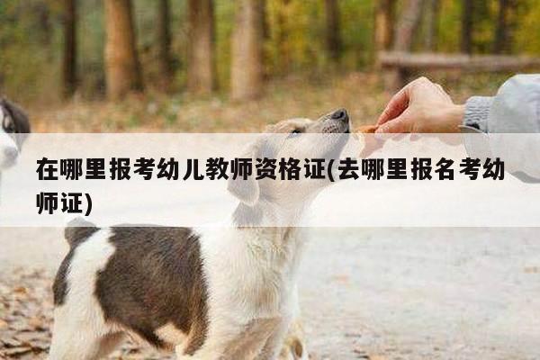 在哪里报考幼儿教师资格证(去哪里报名考幼师证)