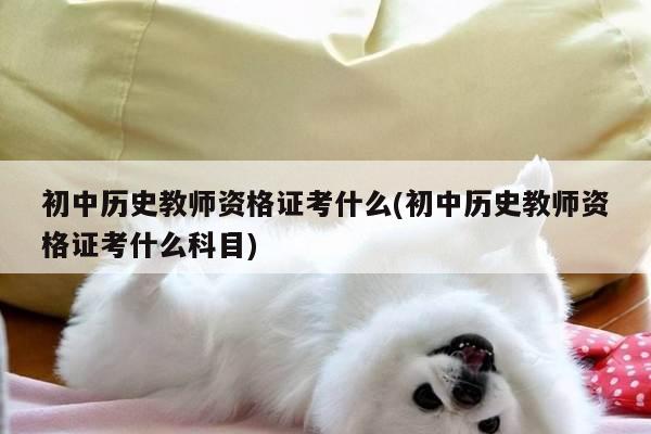 初中历史教师资格证考什么(初中历史教师资格证考什么科目)
