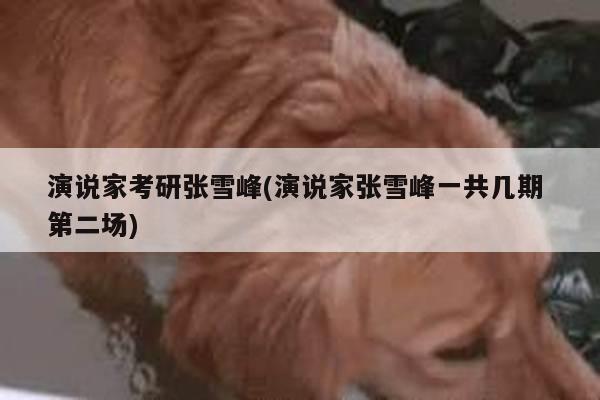 演说家考研张雪峰(演说家张雪峰一共几期 第二场)