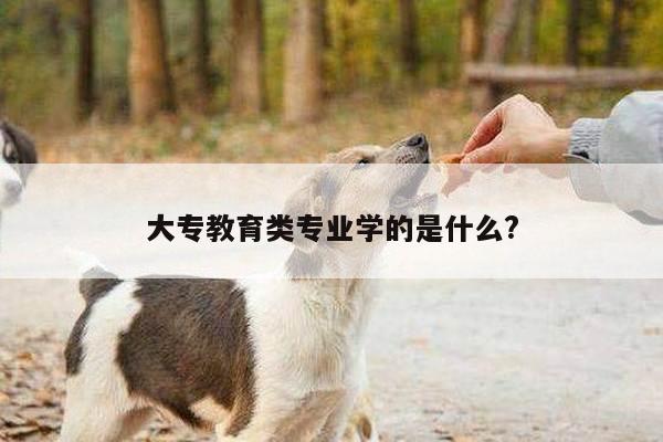 大专教育类专业学的是什么?