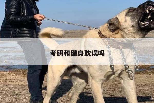 考研和健身耽误吗