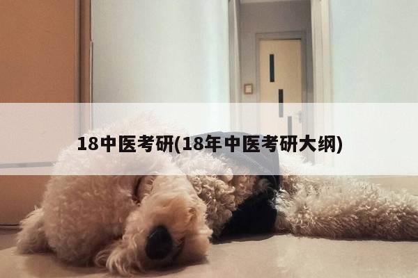 18中医考研(18年中医考研大纲)
