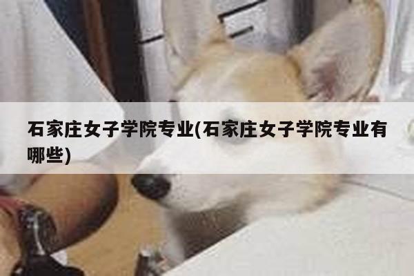 石家庄女子学院专业(石家庄女子学院专业有哪些)