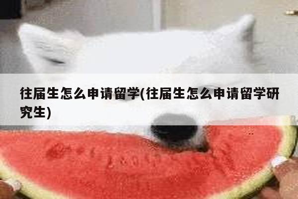 往届生怎么申请留学(往届生怎么申请留学研究生)