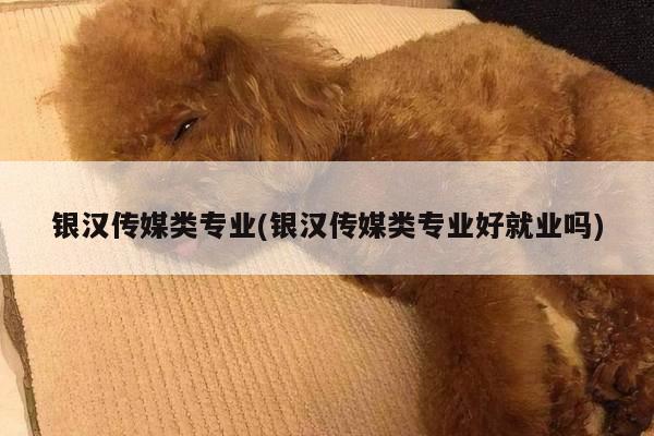 银汉传媒类专业(银汉传媒类专业好就业吗)