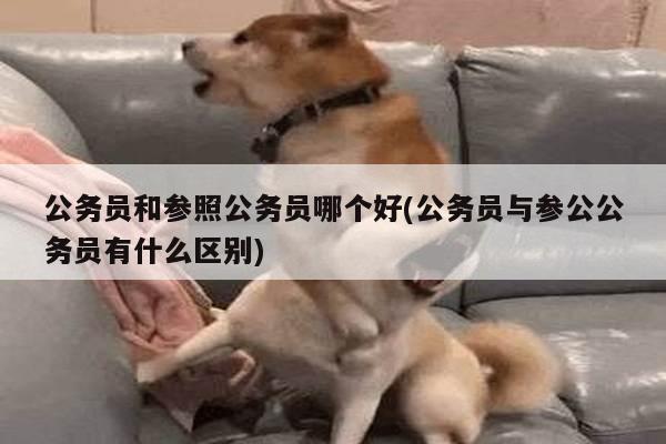 公务员和参照公务员哪个好(公务员与参公公务员有什么区别)