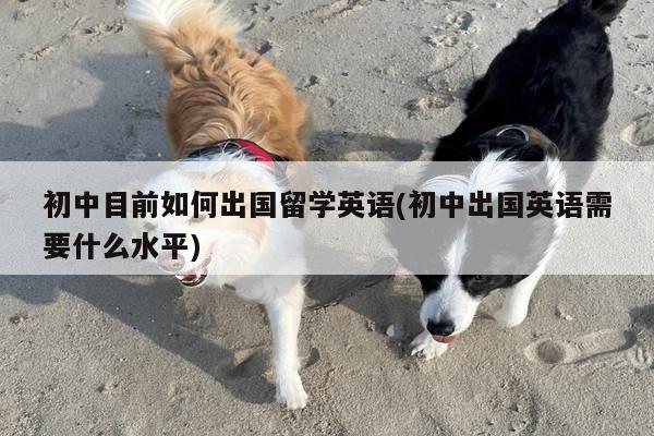 初中目前如何出国留学英语(初中出国英语需要什么水平)