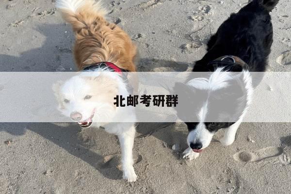 北邮考研群