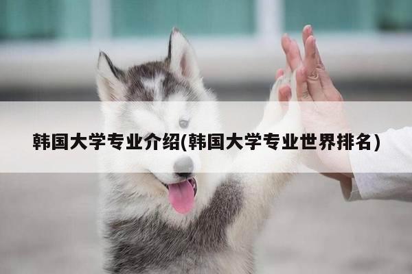 韩国大学专业介绍(韩国大学专业世界排名)