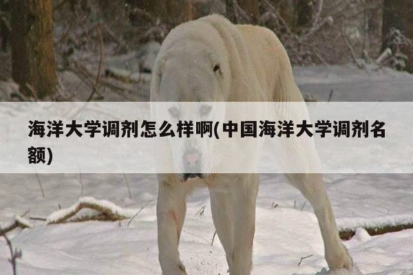海洋大学调剂怎么样啊(中国海洋大学调剂名额)