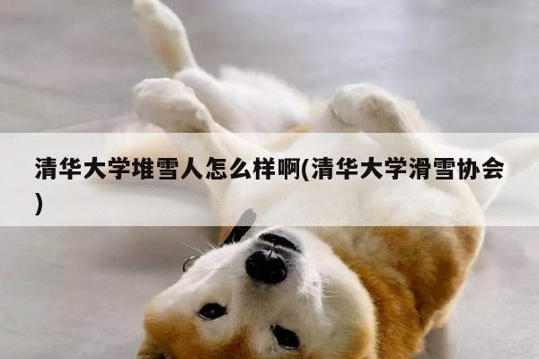 清华大学堆雪人怎么样啊(清华大学滑雪协会)
