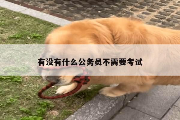 有没有什么公务员不需要考试