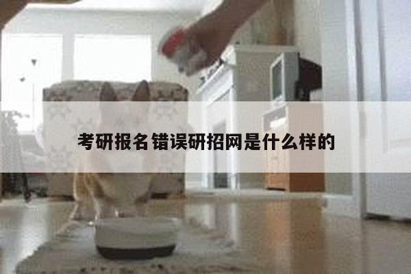 考研报名错误研招网是什么样的