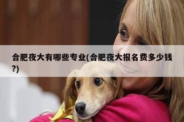 合肥夜大有哪些专业(合肥夜大报名费多少钱?)