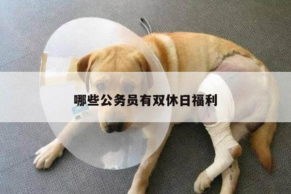 哪些公务员有双休日福利